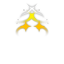 星光願望
