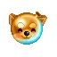 金色狗狗水球