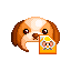 西施犬髮型