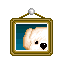 搜救犬奇奇