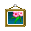 櫻花盛開
